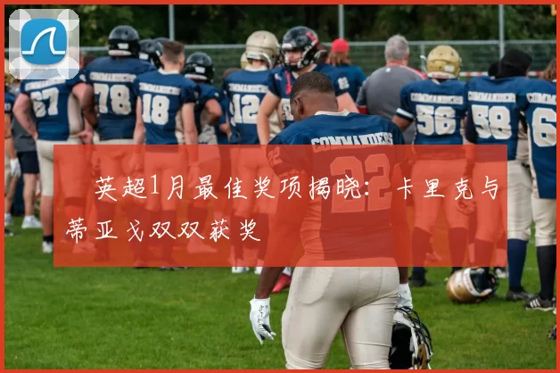 ​英超1月最佳奖项揭晓：卡里克与蒂亚戈双双获奖