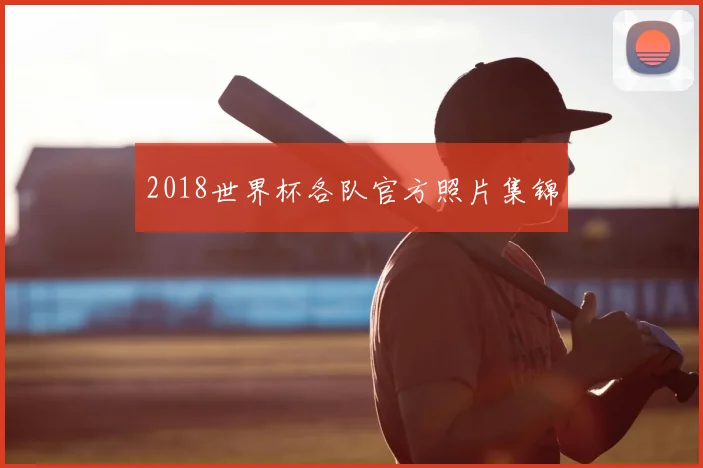2018世界杯各队官方照片集锦