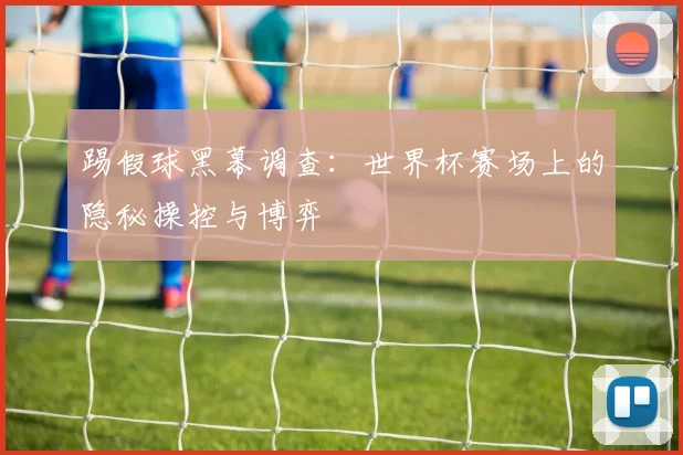 踢假球黑幕调查：世界杯赛场上的隐秘操控与博弈
