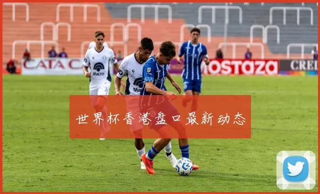 世界杯香港盘口最新动态