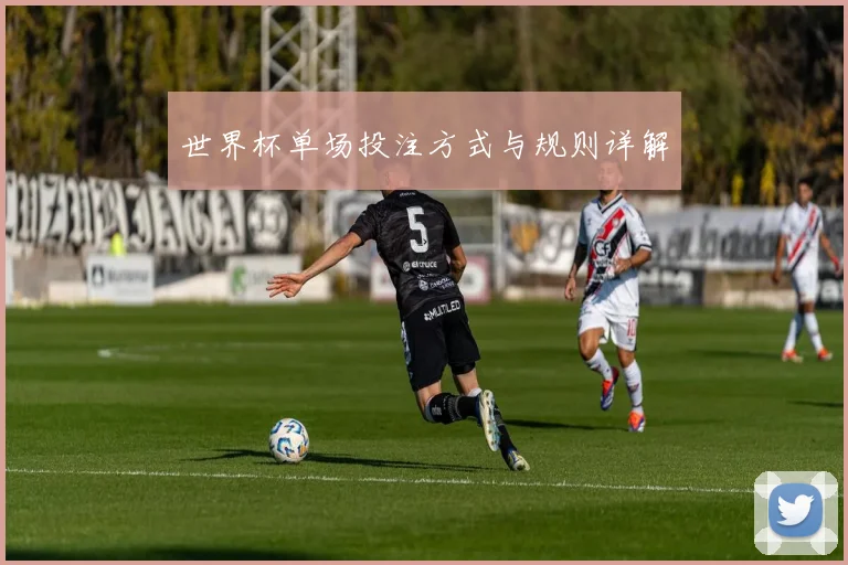 世界杯单场投注方式与规则详解