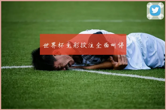 世界杯竞彩投注全面叫停