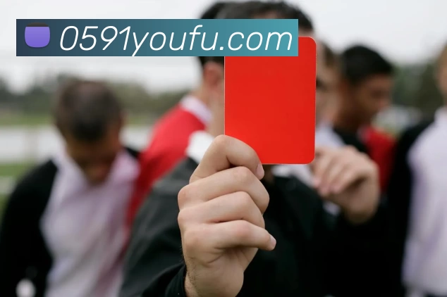 Kaiyun中国大陆(官方电力科技平台) - 登录入口平台生态图